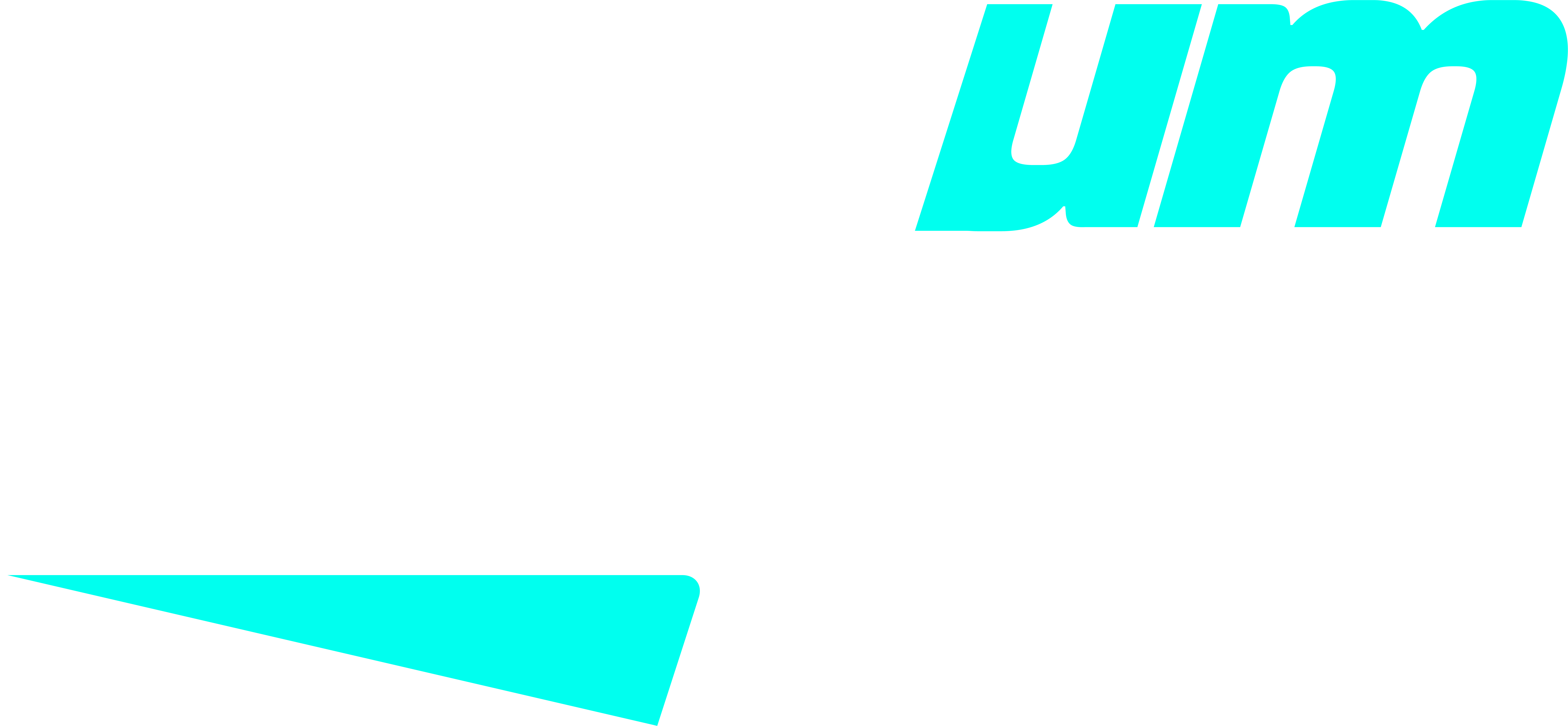 Logo 1PRA1
